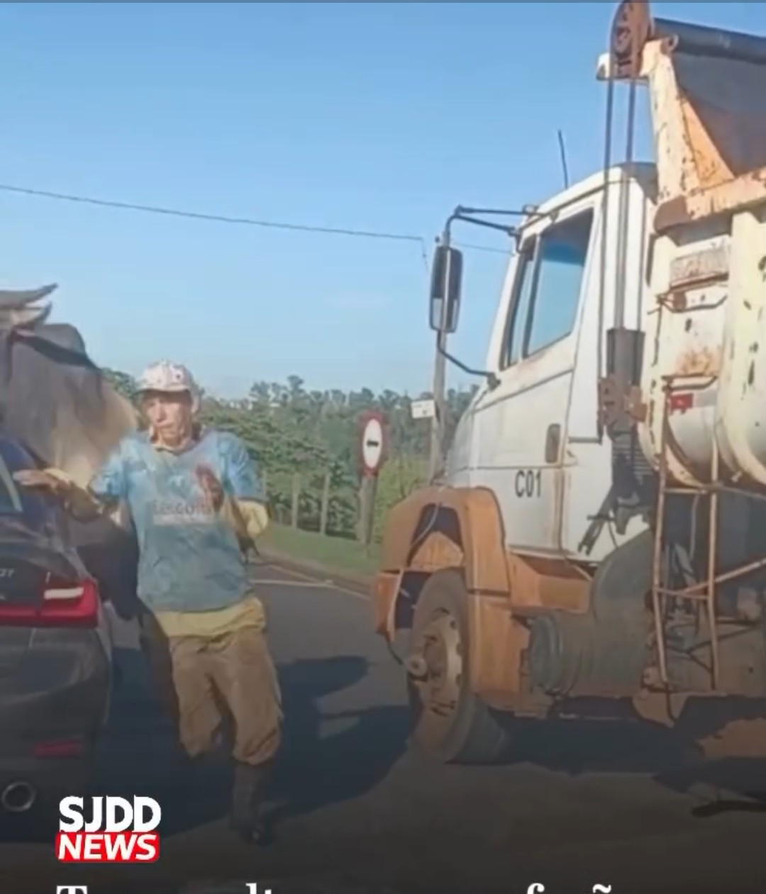 Touro solto em rodovia causa transtornos e fere uma criança em Ribeirão Preto, SP