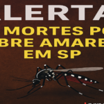 Febre amarela dixou em 2025, até agopra, 20 mortos em São Paulo - Foto: Jornalizando