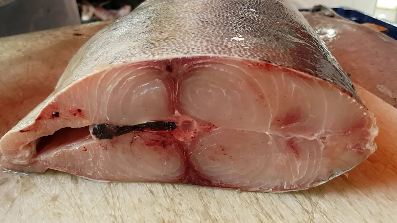 Médicas são internadas às pressas por suspeita de intoxicação alimentar por peixe dourado em Natal, RN
